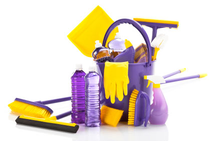 Purple bucket filled with cleaning products, yellow rubber gloves squeegee. Bucket is surrounded by purple cleaning product bottles and cleaning brushes